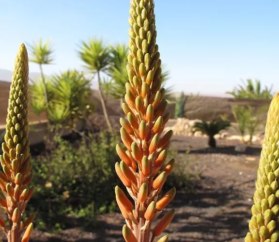 Casa De Nico カントリーハウス