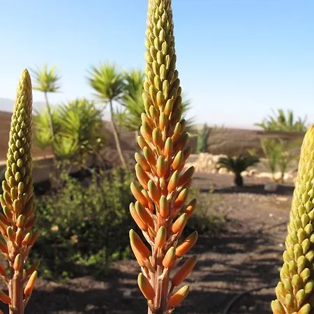 Casa De Nico Landhaus