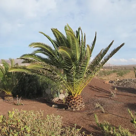 Εξοχικό σπίτι Casa De Nico *