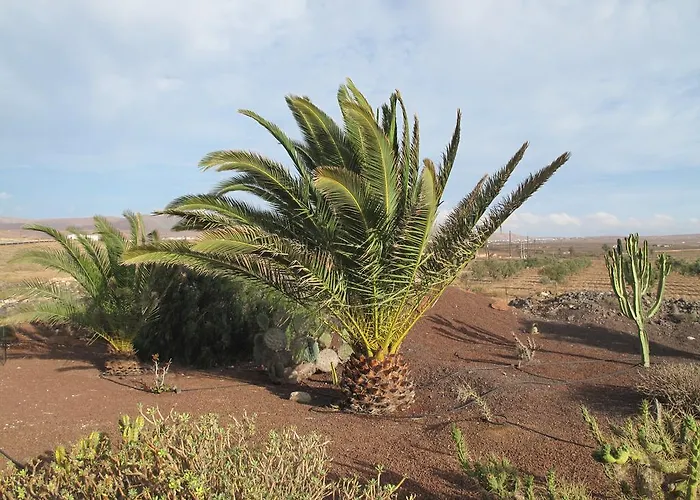 Venkovský dům Casa De Nico *